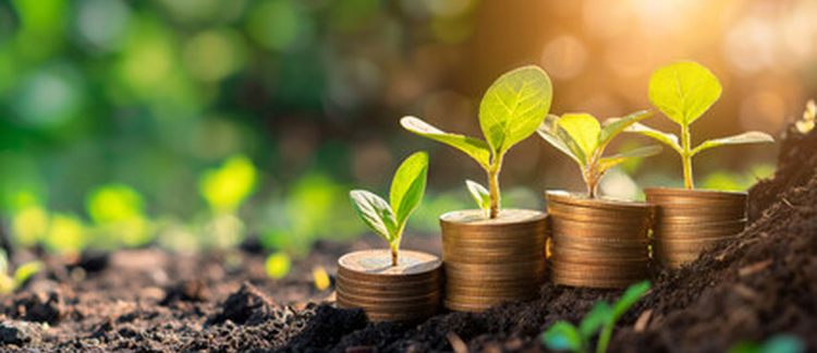 Core Competencies in Agripreneurship: A Scoping Review