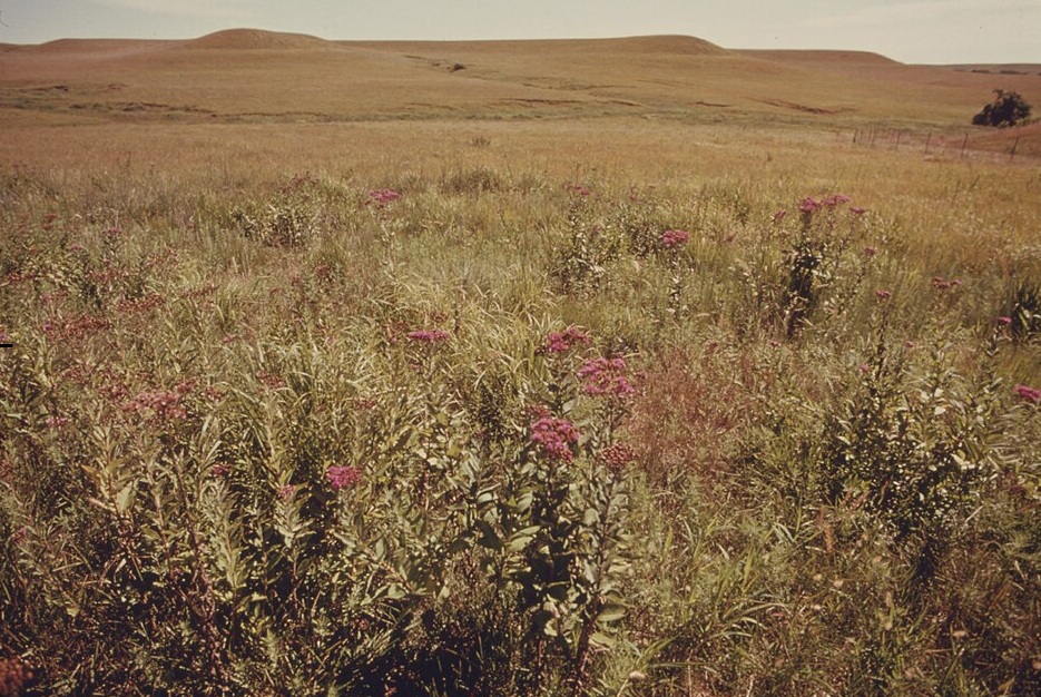 Philanthropy in Rural America: A Scoping Review of the Last 25 Years