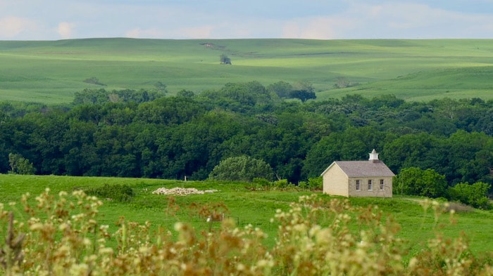 Integrating Foundational Skills and Student-Centered Literacy: Insights from Self-Determination Theory