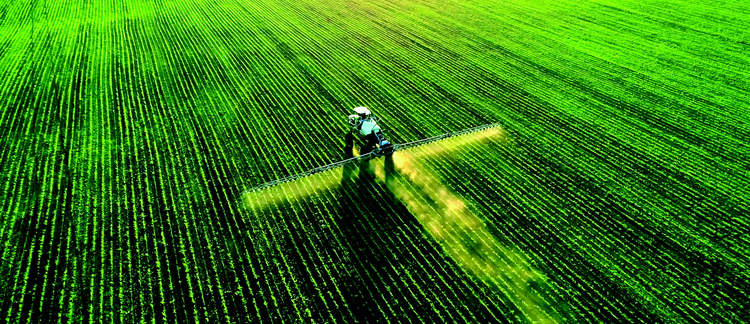 Volume 11 &bull; Issue 3 &bull; 2025 &bull; 2025 Kansas Field Research