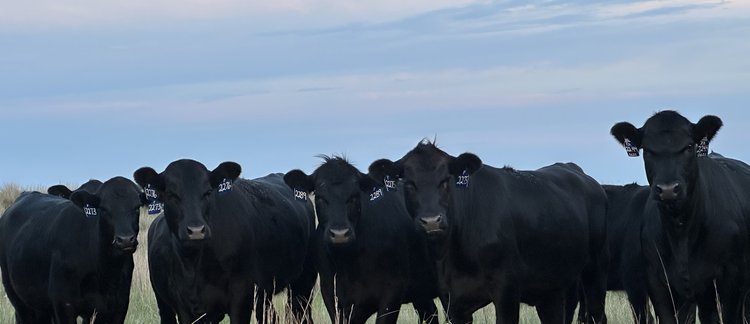 Volume 10 &bull; Issue 2 &bull; 2024 &bull; Southeast Research and Extension Center Agricultural Research 2024